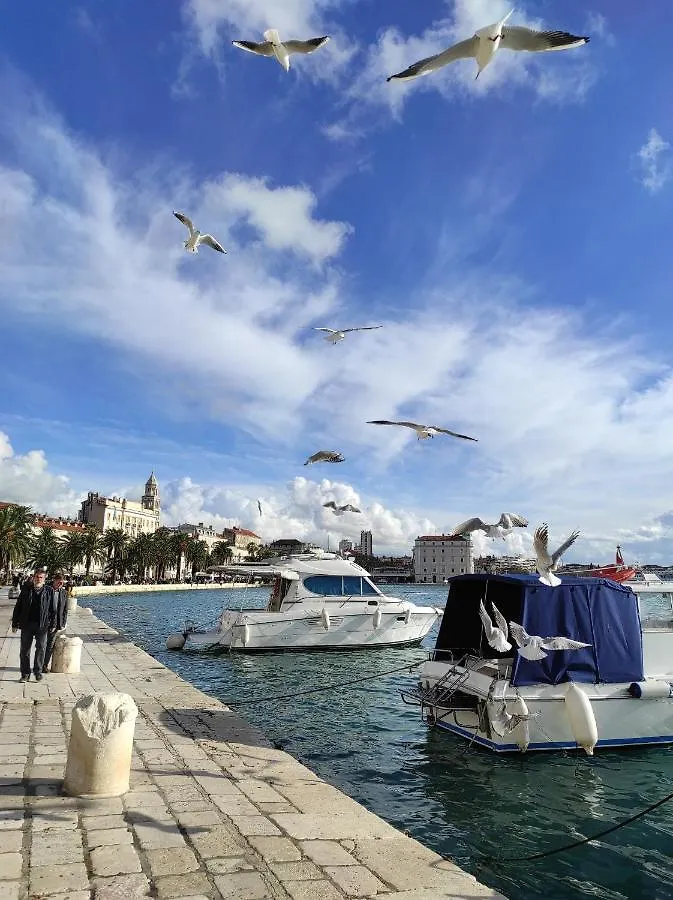 Apartment Deluxe Apartman Pervan Split Croatia